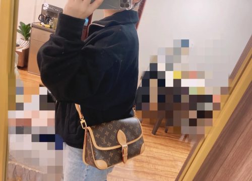 LV Diane Monogram 寬肩帶 Diane 法棍包-M45985 photo review