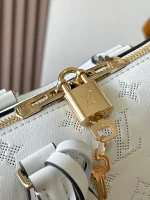LV Speedy Bandoulière 20 白色印花側揹包-M11276：圖片 13