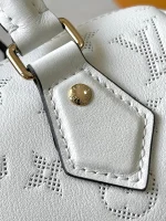 LV Speedy Bandoulière 20 白色印花側揹包-M11276：圖片 11