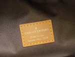 LV Rush 腰包 Monogram-M11539：圖片 21