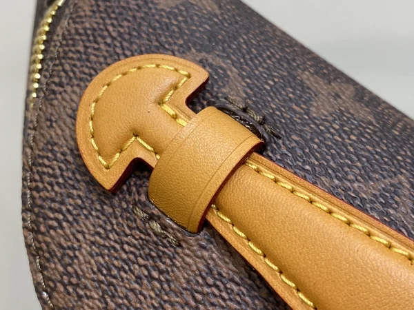 LV Rush 腰包 Monogram-M11539：圖片 18