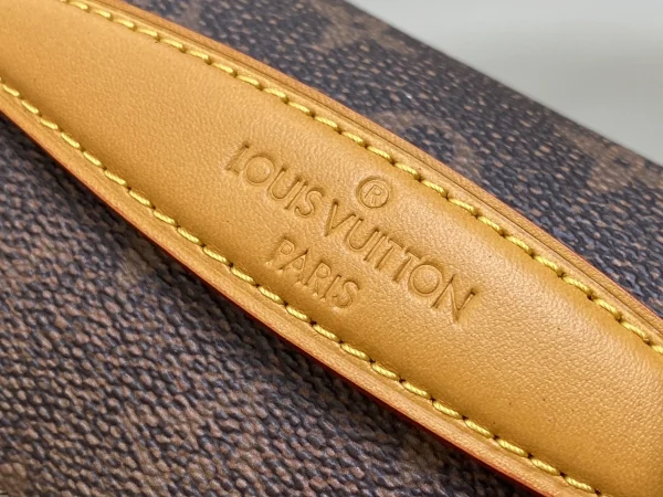 LV Rush 腰包 Monogram-M11539：圖片 17