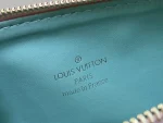 LV Coussin PM 鏈條 手拿-M11726：圖片 16