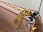 LV Coussin PM 鏈條 手拿-M11726：圖片 8