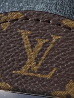 LV Sunset Vibe Monogram 單肩包-M12192：圖片 40