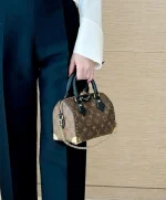 LV Cruise 2025 Speedy Trunk 20 Monogram travel包包-M13146：圖片 6