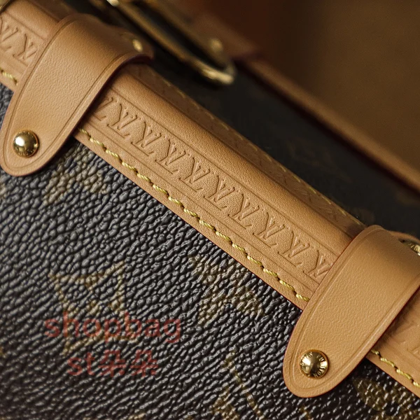 高仿包包 LV Side Trunk MM 老花 單肩包-M46358：圖片 14