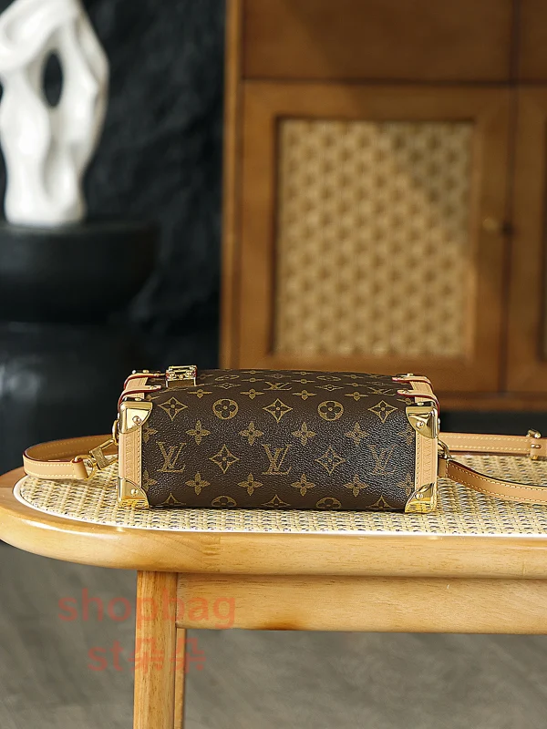 高仿包包 LV Side Trunk MM 老花 單肩包-M46358：圖片 6