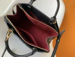 LV Petit Palais 手提包包-M58916：圖片 6
