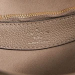 LV Diane Monogram epi 長形包包包-M46583：圖片 12