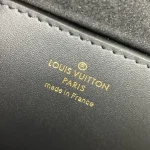 LV Tilsitt Monogram 月牙包包-M46548：圖片 20