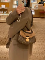 LV Tilsitt Monogram 月牙包包-M46548：圖片 11