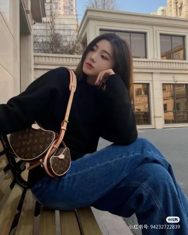 LV 新款 LV RemixCroissant MM Monogram包包-M46828：圖片 3