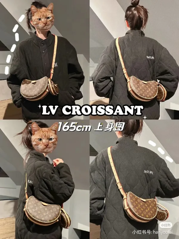 LV 新款 LV RemixCroissant MM Monogram包包-M46828：圖片 15