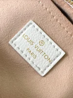 LV Speedy Bandoulière 20 Monogram travel包包-M46875：圖片 10
