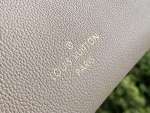 LV On My Side PM Monogram 手拿手提包包-M57729：圖片 9