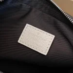 LV Alpha Messenger 男士白色印花相機袋-M31069：圖片 11