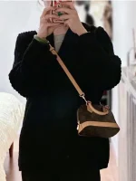 LV Nano Alma mini貝殼包包包-M82717：圖片 16