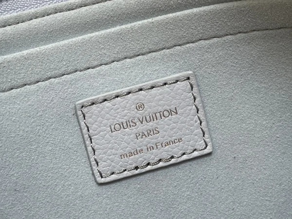 LV Multi Pochette Accessoires Monogram EPI 鏈條包包-M47173：圖片 14