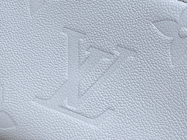 LV Multi Pochette Accessoires Monogram EPI 鏈條包包-M47173：圖片 13