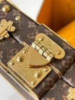 LV Pic Trunk Monogram 相機包-M47116：圖片 14