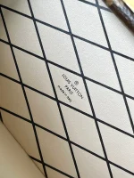 LV Pic Trunk Monogram 相機包-M47116：圖片 17