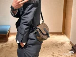 LV Montsouris PM 老花郵差包 -M47060：圖片 14