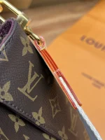LV Vivacité Monogram 寬肩帶 麻將包-M46999：圖片 25