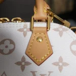 LV Nano Alma Monogram Dune 貝殼包-M46895：圖片 16