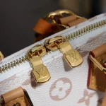 LV Nano Alma Monogram Dune 貝殼包-M46895：圖片 18