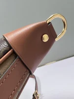 LV Loop Hobo 月亮包-M46311：圖片 14