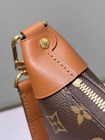 LV Loop Hobo 月亮包-M46311：圖片 9