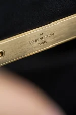LV Dauphine MM Monogram 鏈條包包-M45958：圖片 13