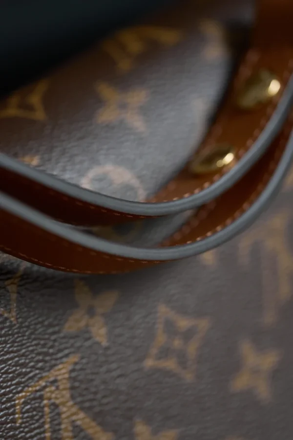 LV Dauphine MM Monogram 鏈條包包-M45958：圖片 17