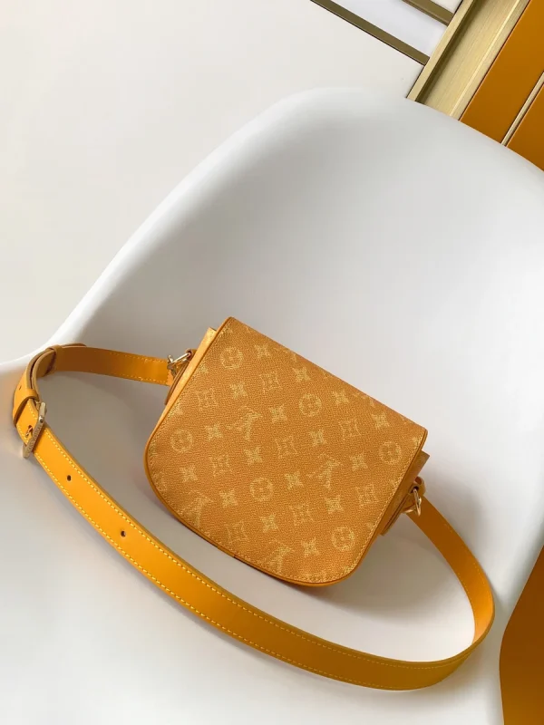 LV Montsouris Monogram Heritage郵差包-M12694：圖片 3