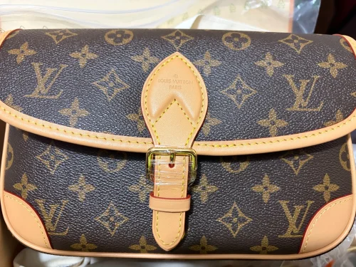 LV Diane Monogram 寬肩帶 Diane 法棍包-M45985 photo review