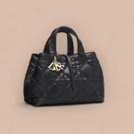 Dior Toujours 黑色單肩包中號MM-M2821