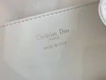 Dior Caro 奶白羊皮雙肩背包中號MM：圖片 10