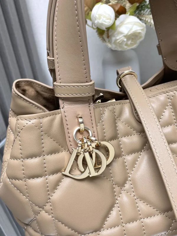 Dior Toujours 粉色手提包小號PM-M2822：圖片 5