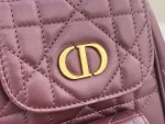Dior Caro 粉紅羊皮雙肩背包小號PM-M6302：圖片 6
