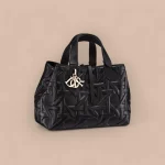 Dior Toujours 黑色托特包中號MM-M2821