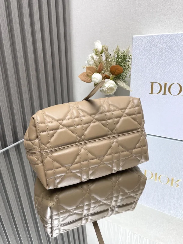 Dior Toujours 粉色手提包小號PM-M2822：圖片 6