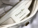 Dior Caro 象牙色小牛皮斜挎包中號MM-M9242：圖片 10