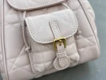Dior Caro 胭脂粉背包小號PM-M6302：圖片 4
