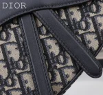 Dior Saddle 藍色單肩包中號MM-M0455：圖片 10