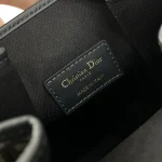 Dior C'est 藍色水桶包中號MM-M2271：圖片 9