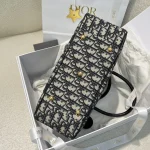 Dior D-Vibe 藍色斜挎包中號MM-M1341：圖片 14