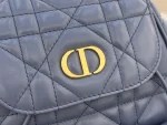 Dior Caro 藍色羊皮背包中號MM：圖片 10