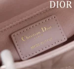 Dior Lady 迷你粉色羊皮斜挎包迷你-M0505：圖片 9