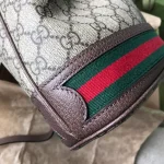 GUCCI Ophidia小號米棕帆布水桶包-550621：圖片 8
